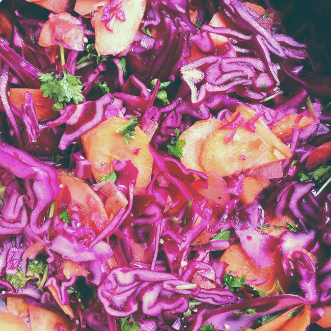 Red Cabbage & Carrot Slaw // http://BananaBloom.com